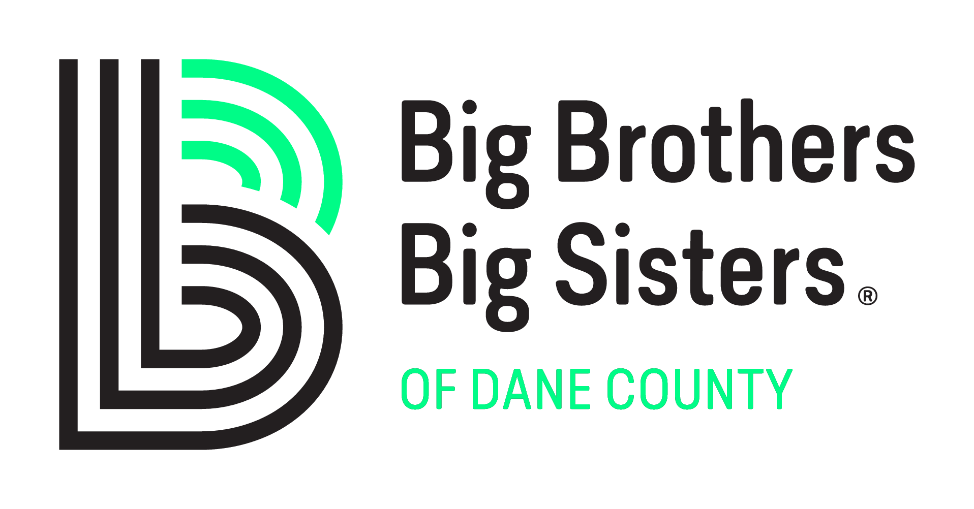 Big Brothers and Big Sisters of Dane County Inc logo